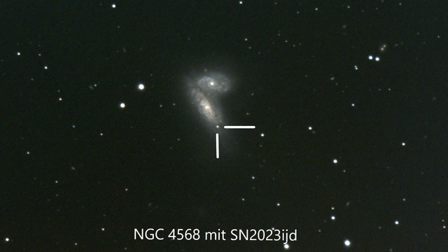 NGC 4568 SN2023ijd