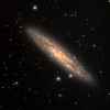 NGC253 Sculptor oder auch Silberdollar Galaxie