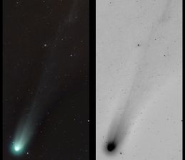 thumb C 2025 A6 Lemmon 2