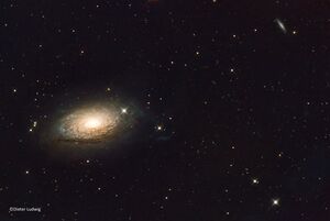 thumb M63